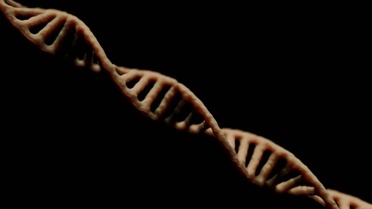 遺伝的症候群と顔つきの関係